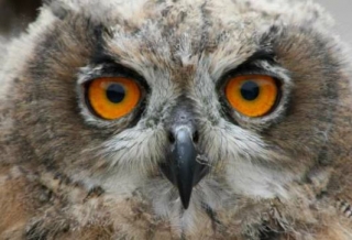  Estuve despierto toda la noche 